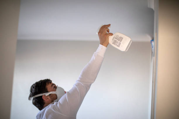 Best Attic Mold Removal  in Lake Isabella, CA
