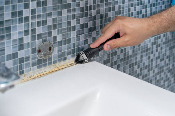 Attic Mold Removal in Lake Isabella, CA
